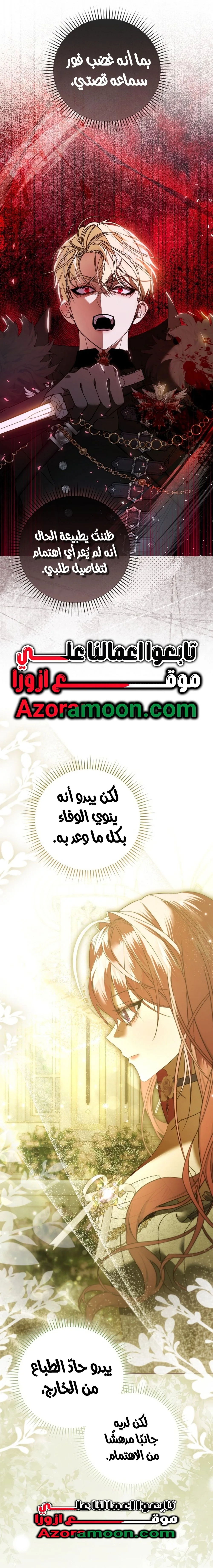 الصفحة 27