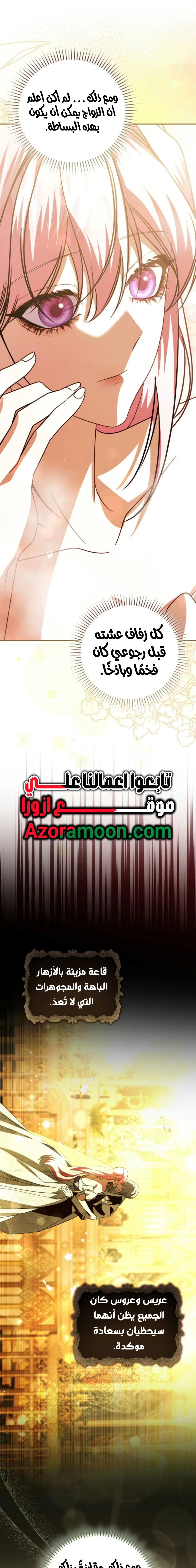 الصفحة 19