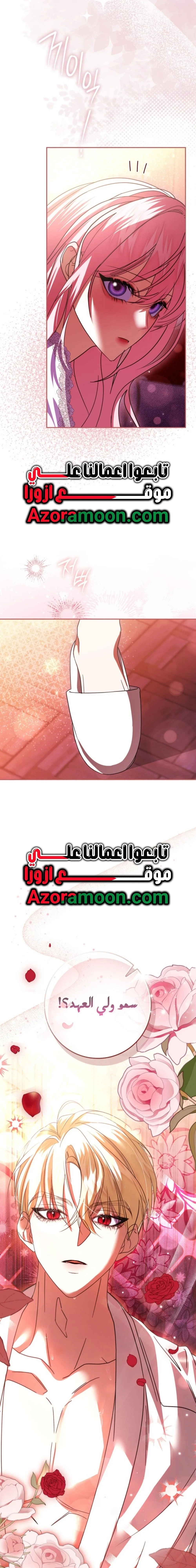 الصفحة 30
