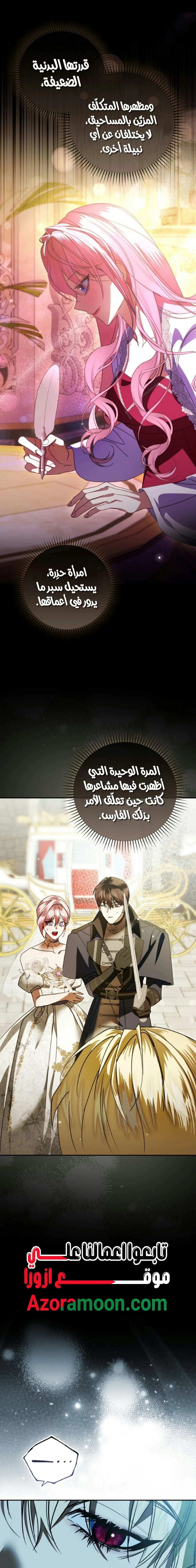 الصفحة 24