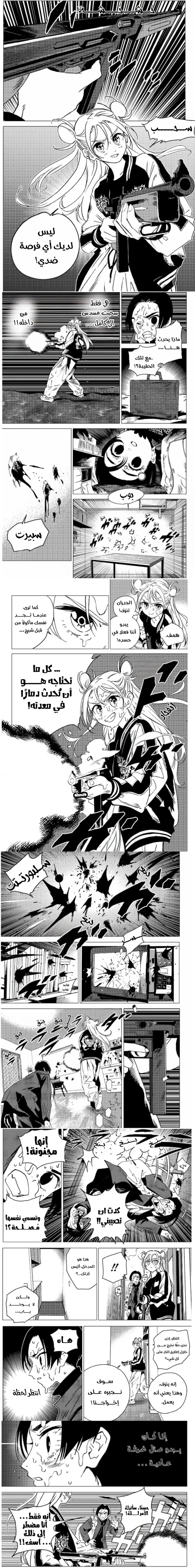 الصفحة 11