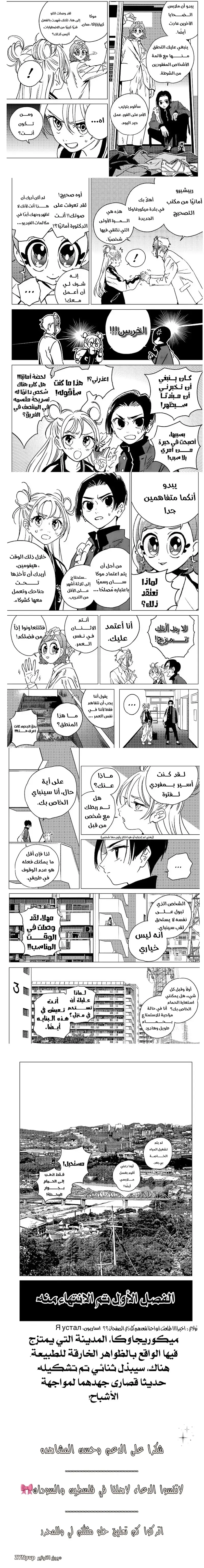 الصفحة 15
