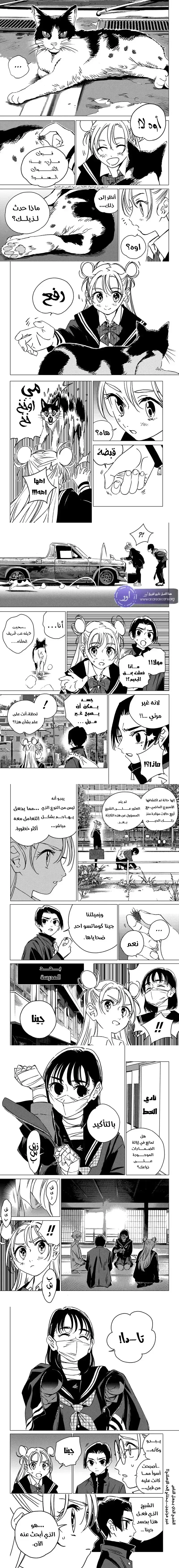 الصفحة 4