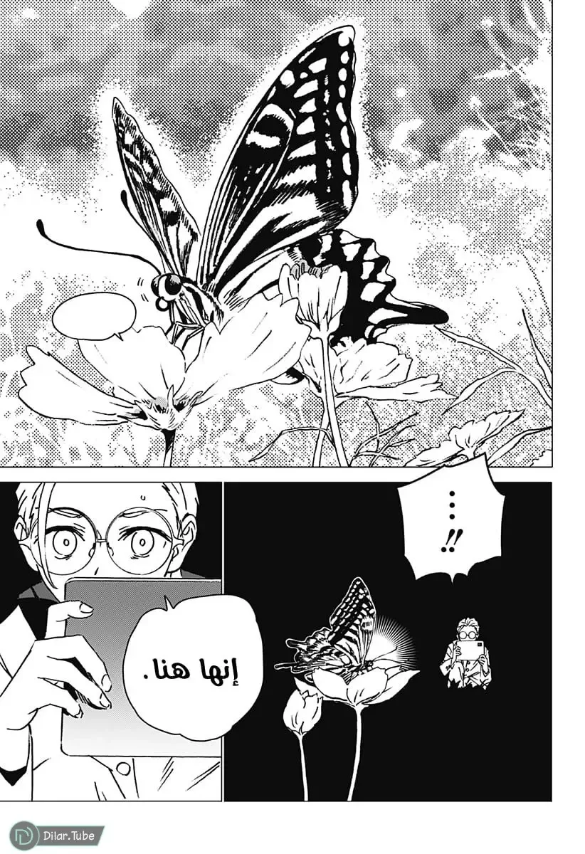 الصفحة 6