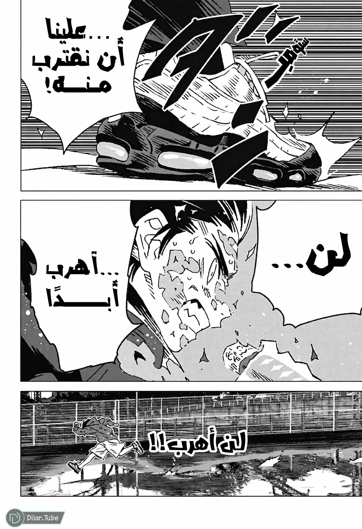 الصفحة 14