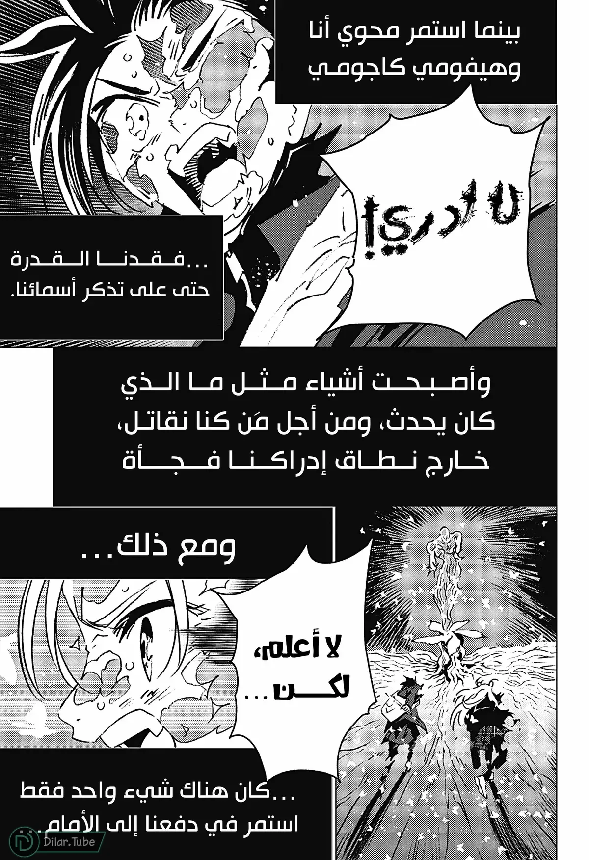 الصفحة 17