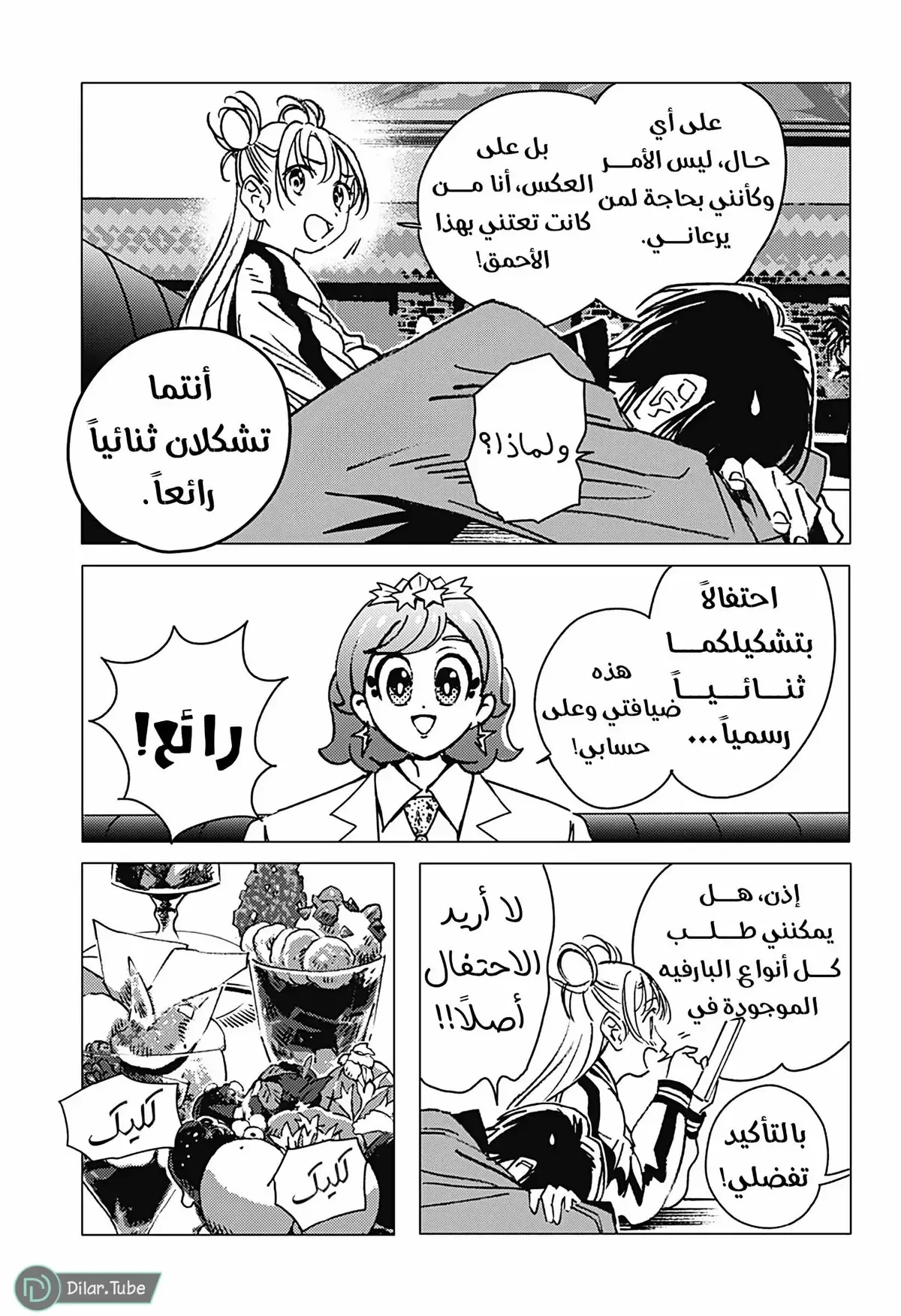 الصفحة 12