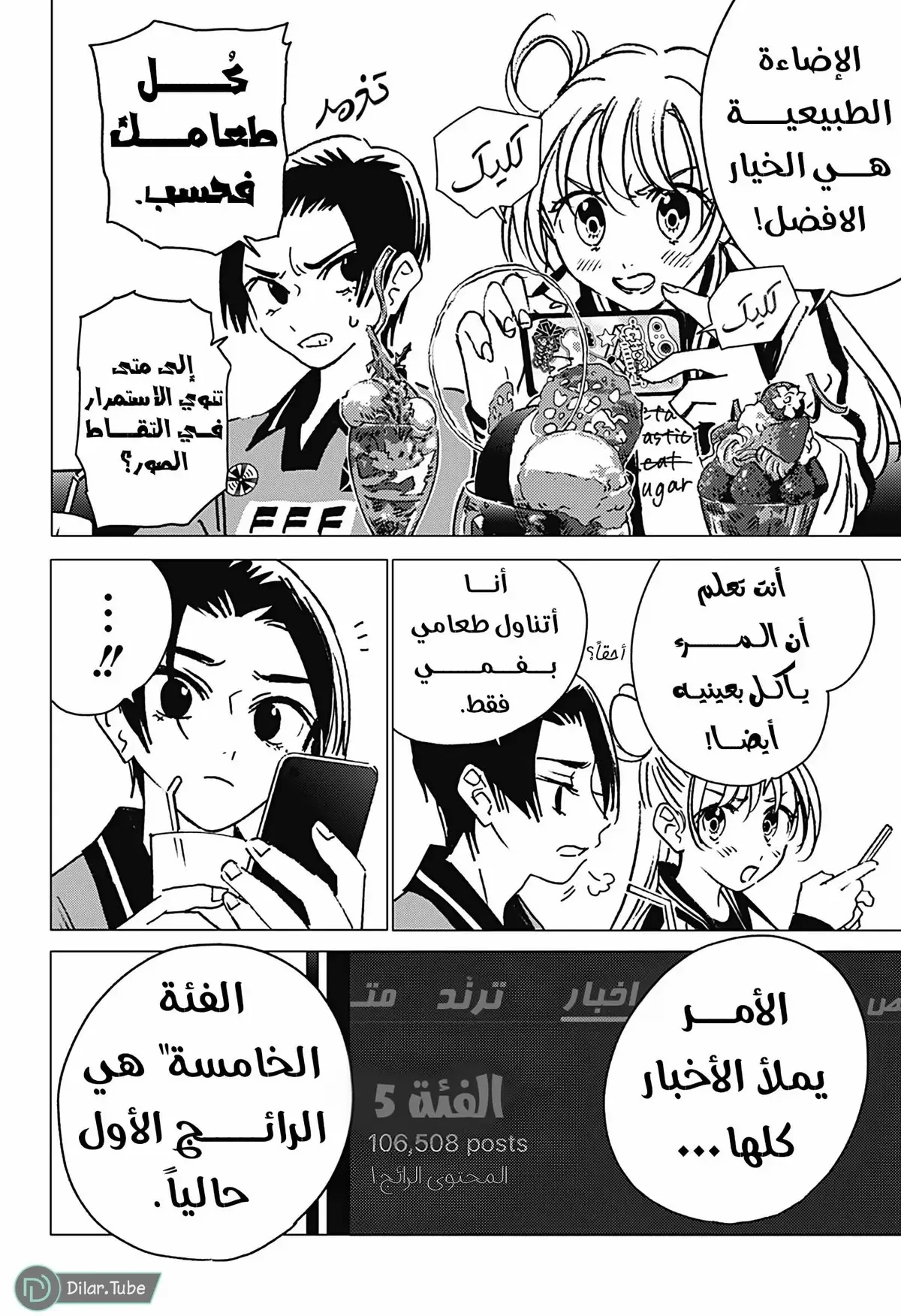 الصفحة 13
