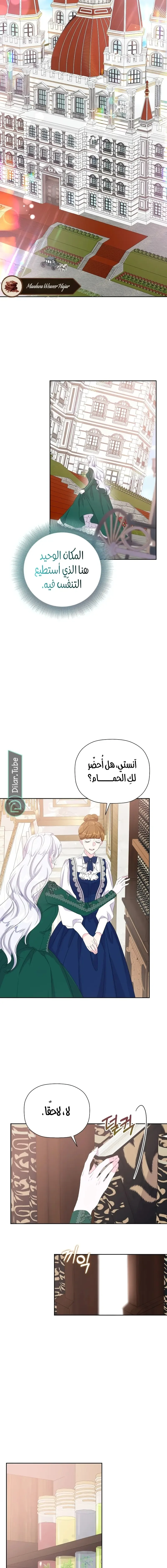 الصفحة 13
