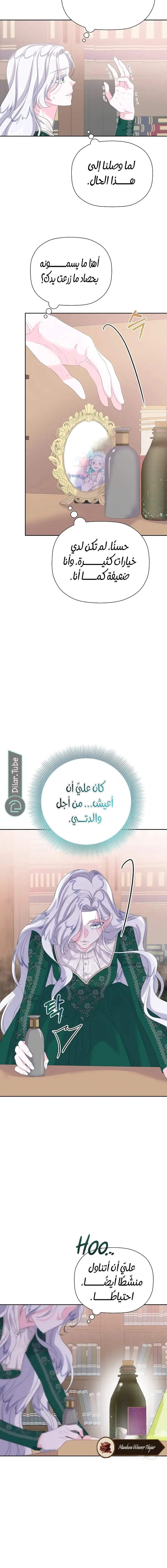 الصفحة 15