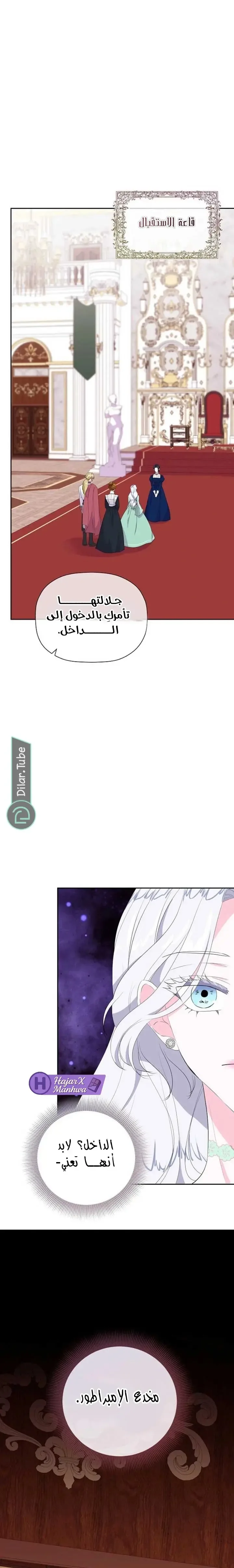 الصفحة 17