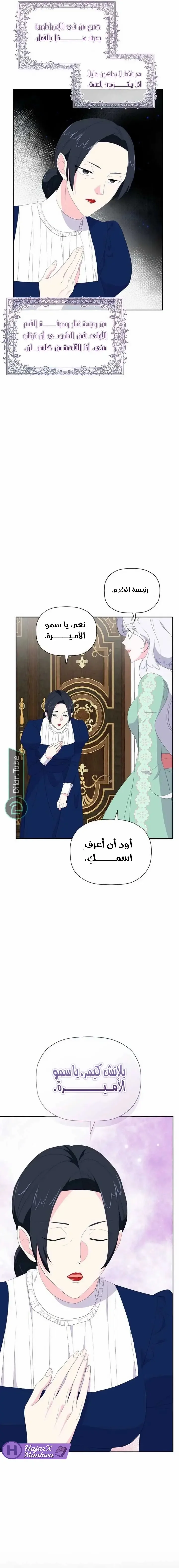 الصفحة 12