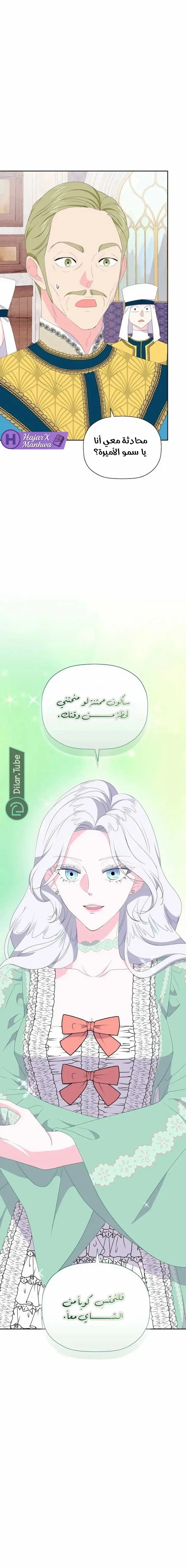 الصفحة 19