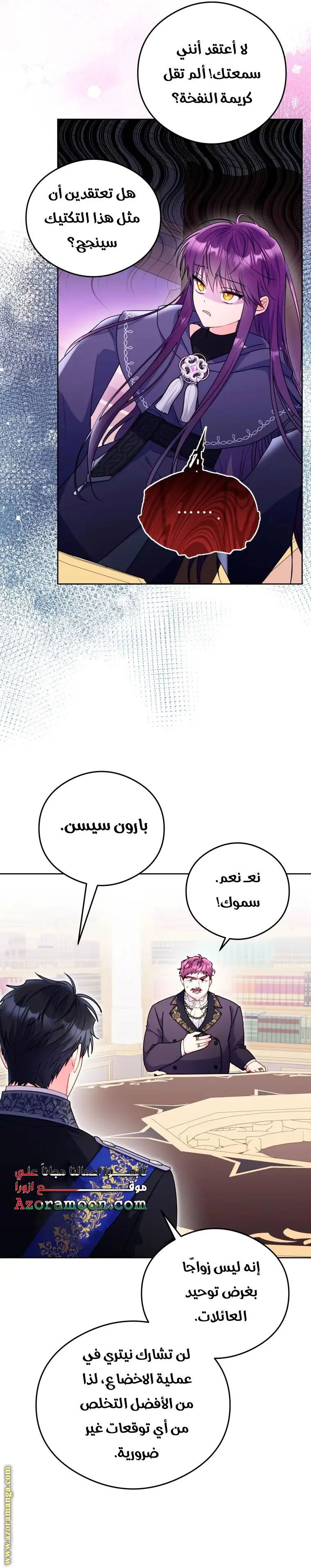 الصفحة 17
