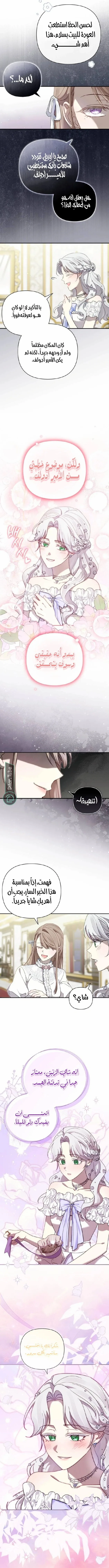 الصفحة 8