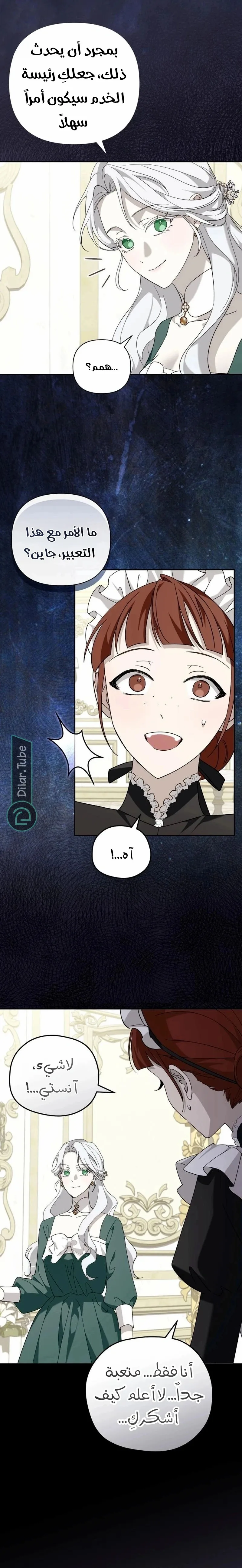 الصفحة 13