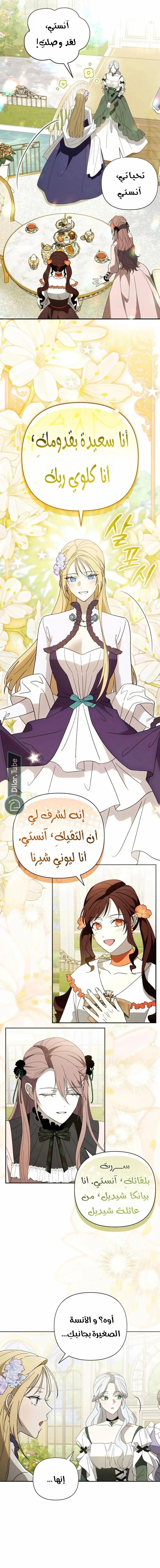الصفحة 17