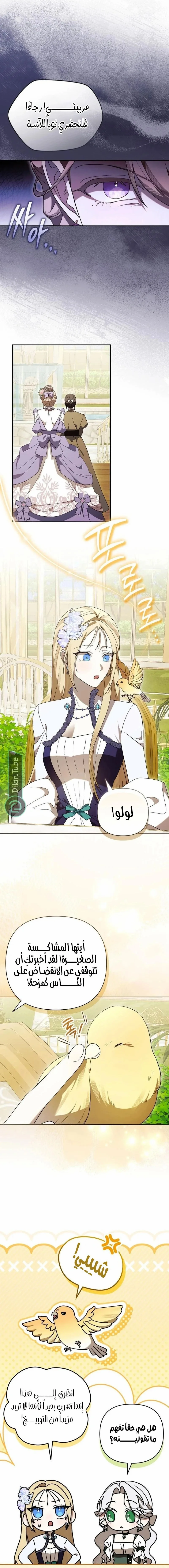 الصفحة 11