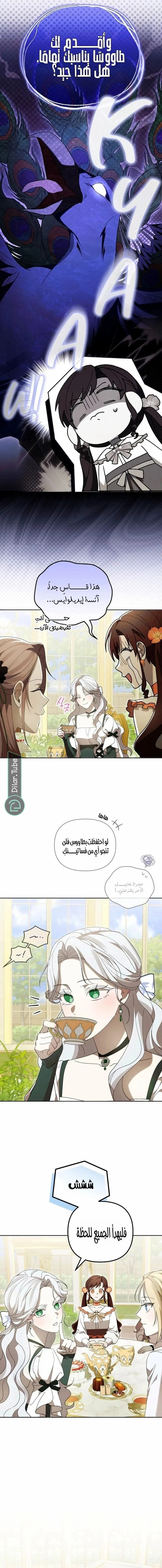 الصفحة 13