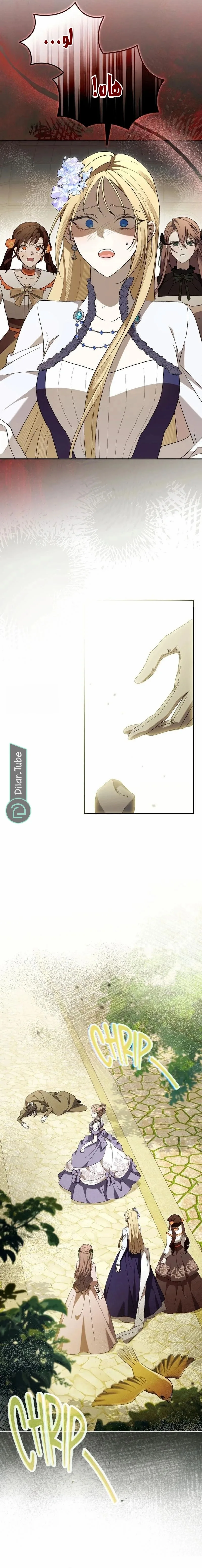 الصفحة 15