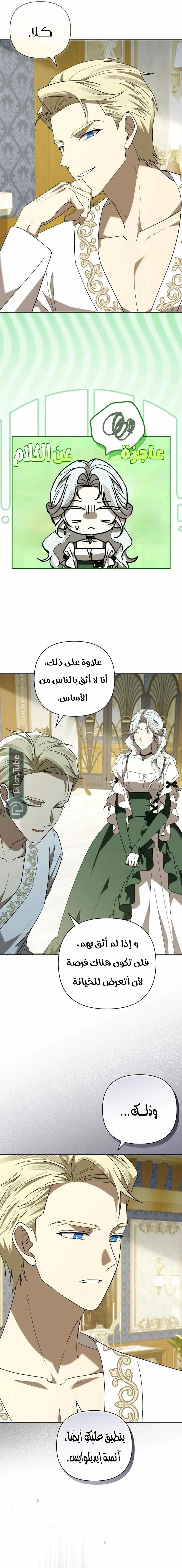 الصفحة 17