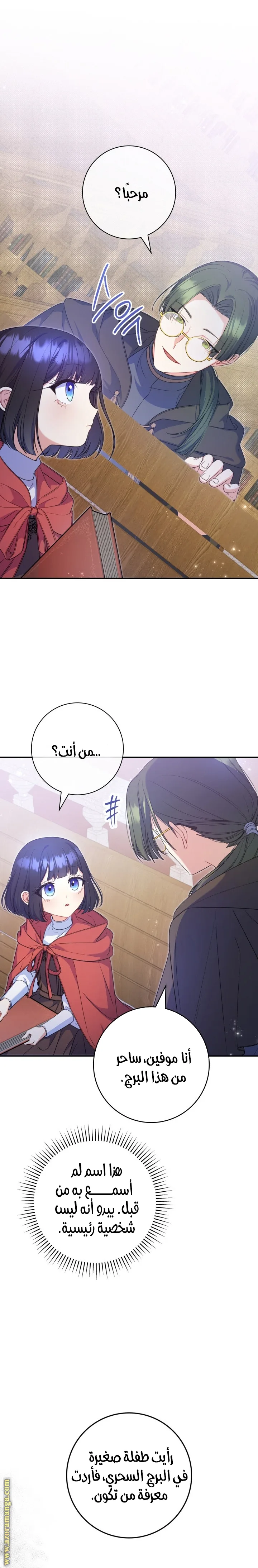 الصفحة 25