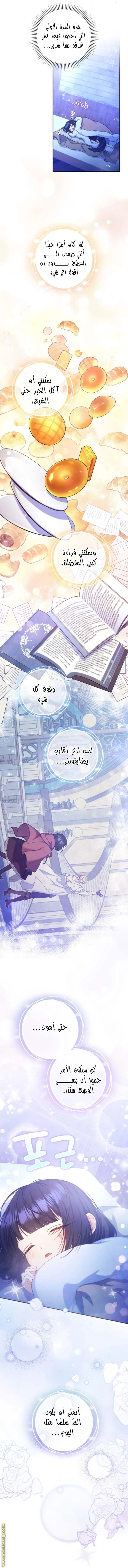 الصفحة 17