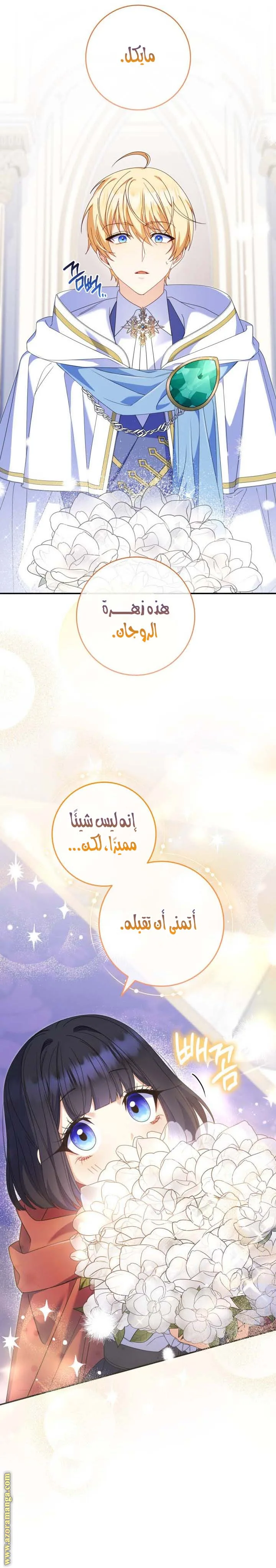الصفحة 11