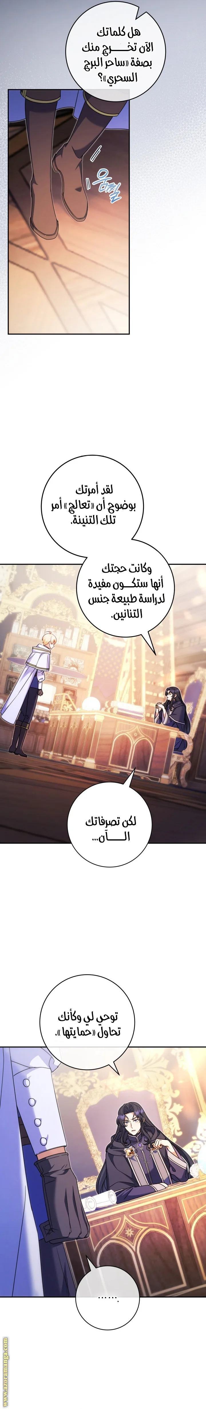 الصفحة 17