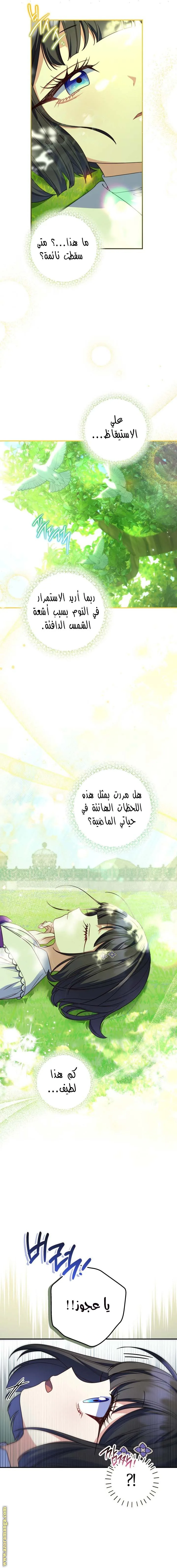 الصفحة 2