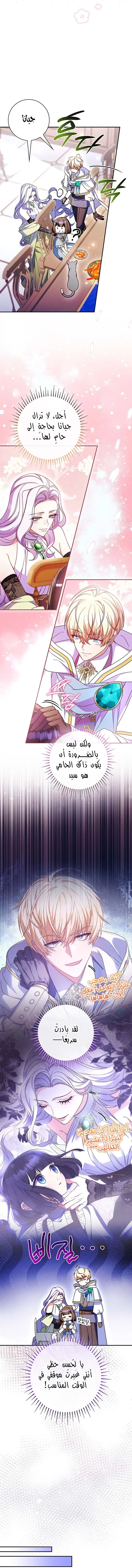 الصفحة 20