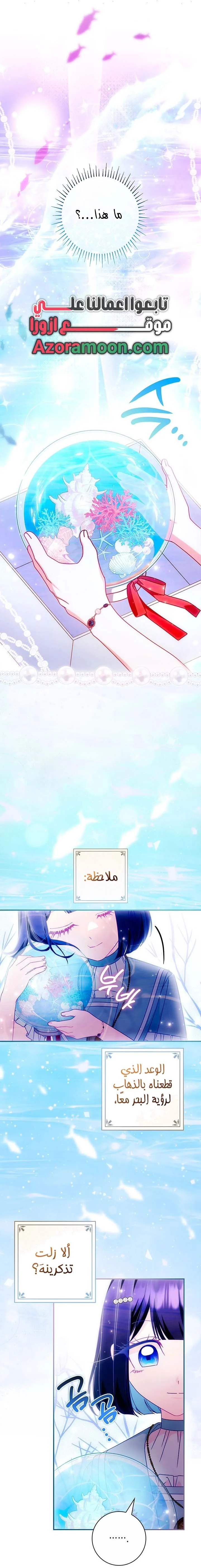 الصفحة 26