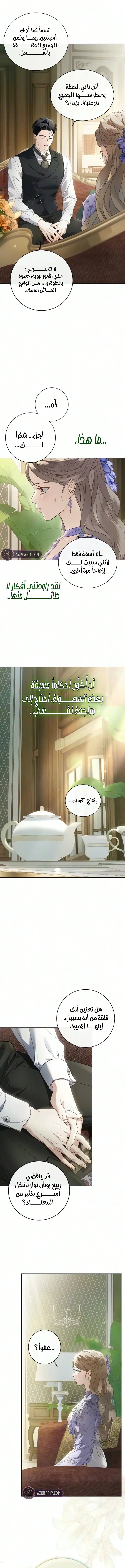 الصفحة 19