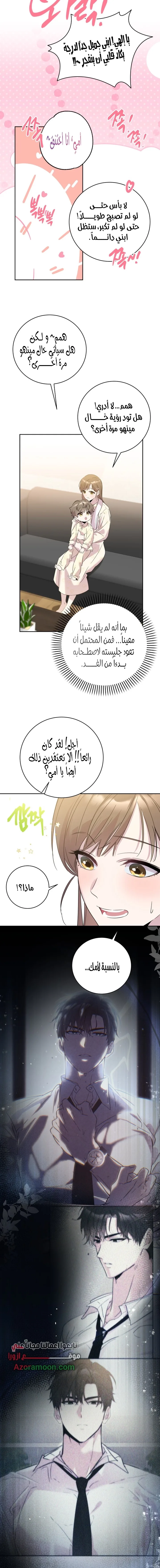 الصفحة 29