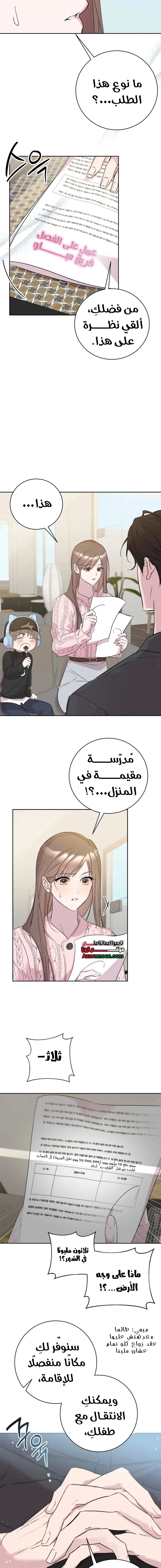 الصفحة 17