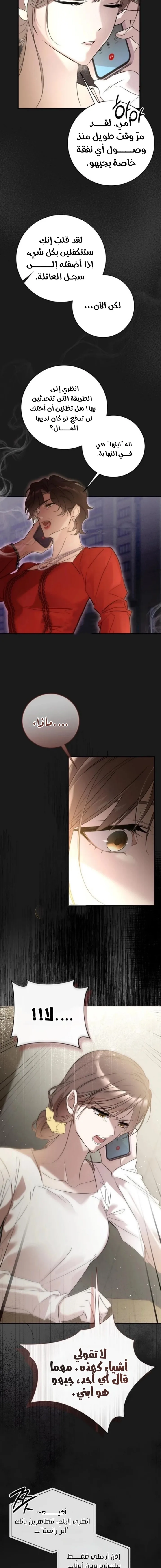 الصفحة 13