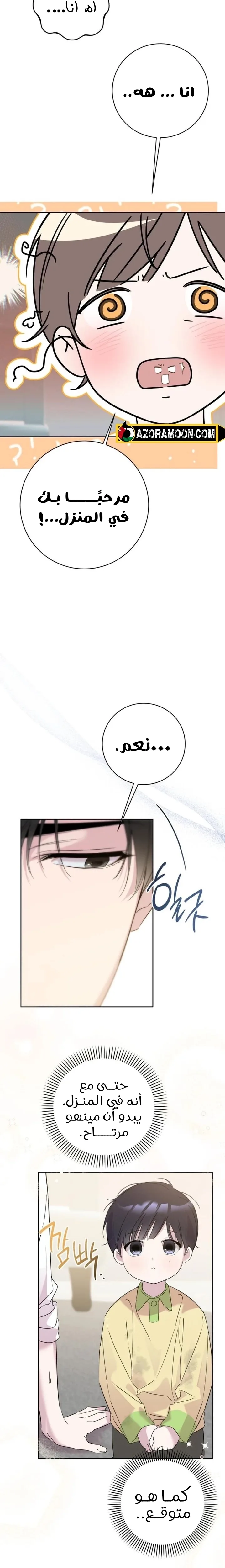 الصفحة 25