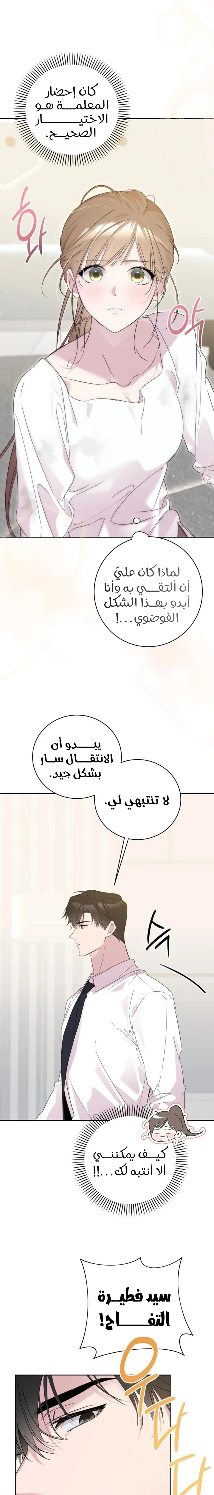الصفحة 26