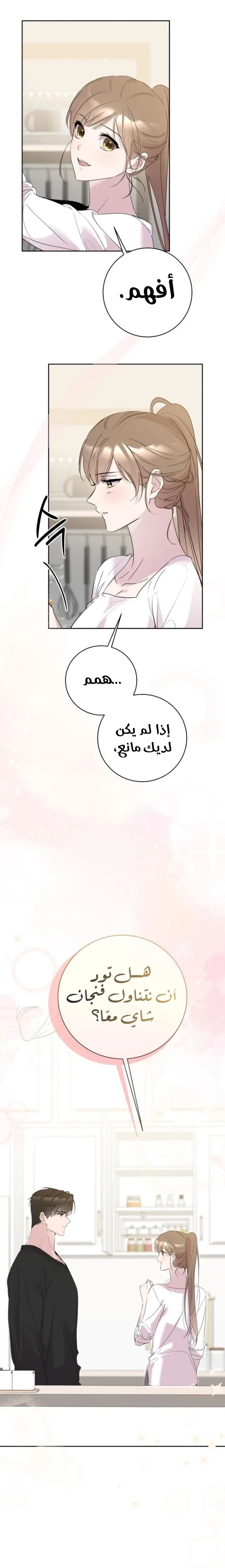 الصفحة 13