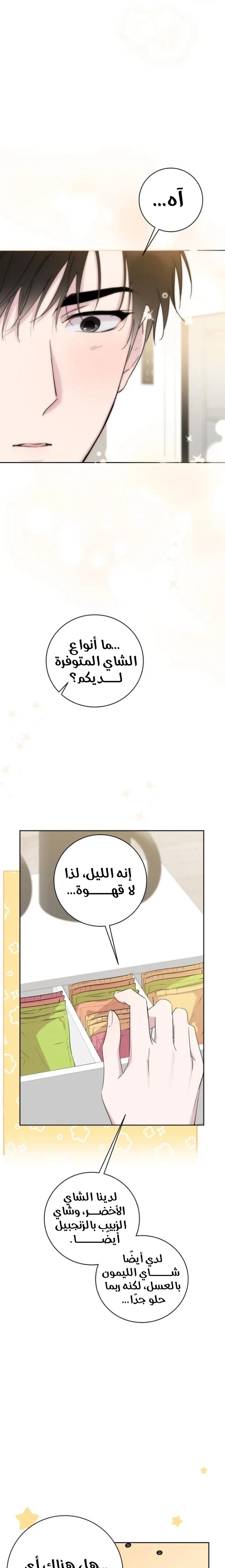 الصفحة 14