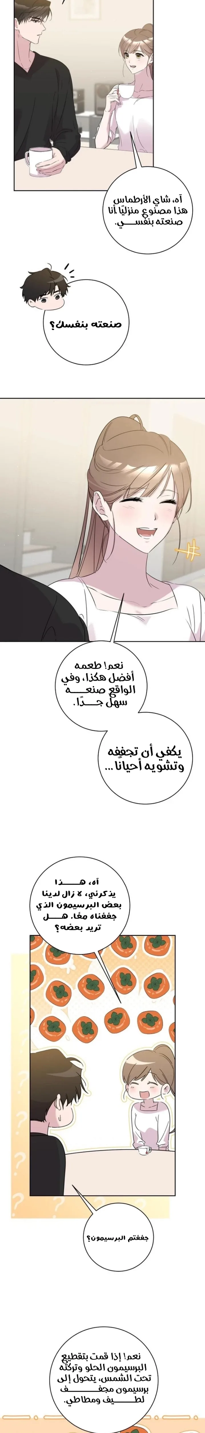 الصفحة 18