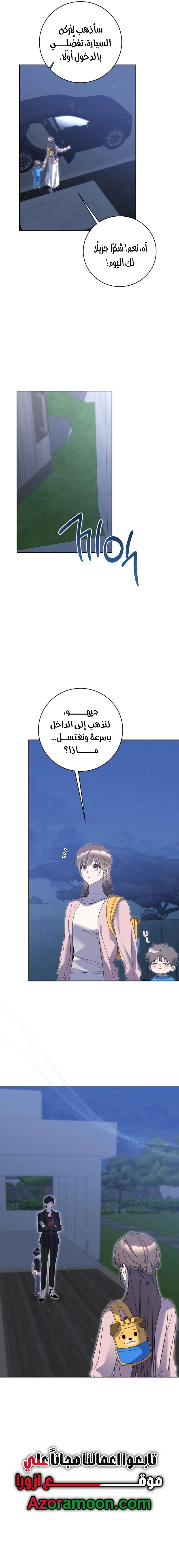 الصفحة 17