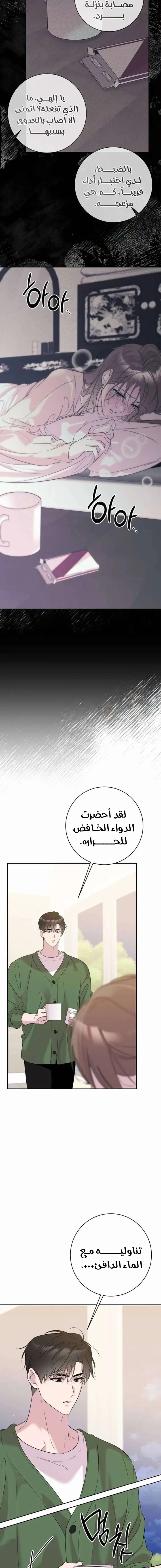 الصفحة 5