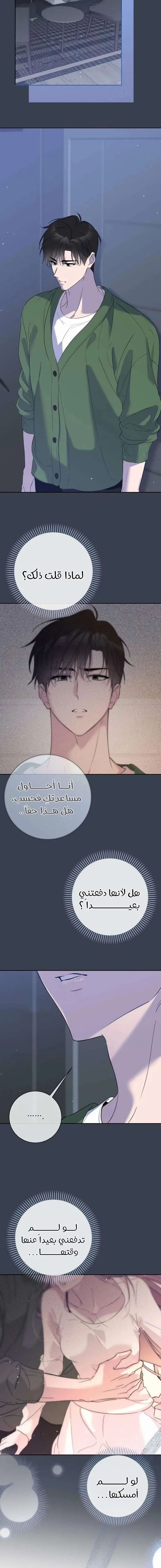 الصفحة 17