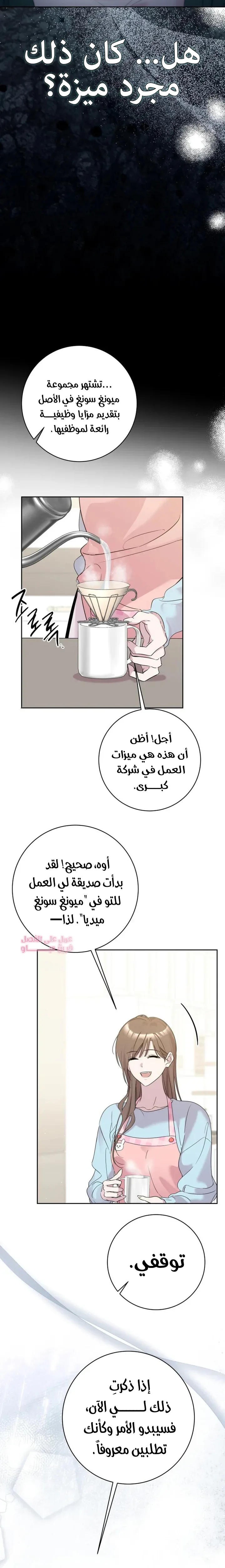 الصفحة 12