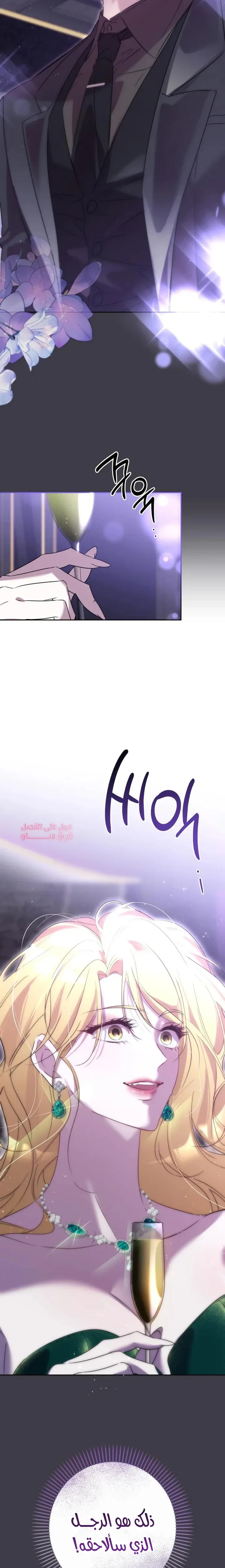 الصفحة 33