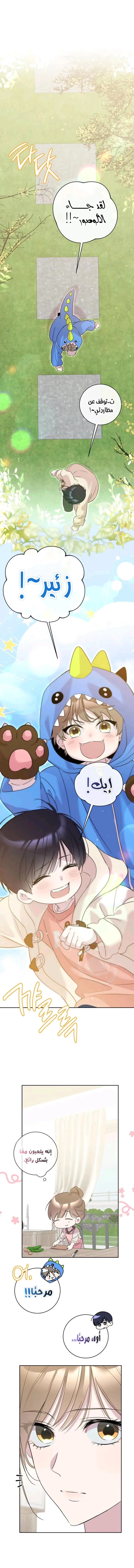 الصفحة 2