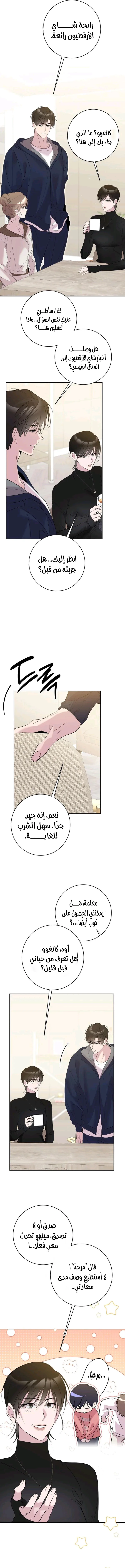 الصفحة 8