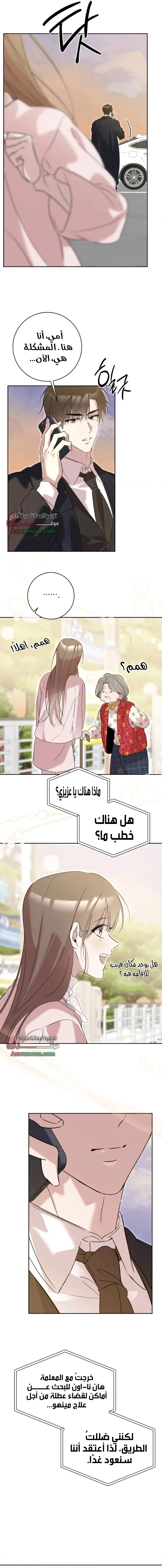 الصفحة 17