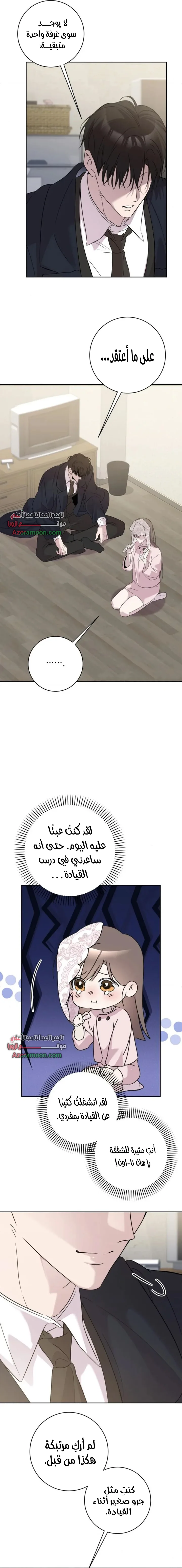 الصفحة 20